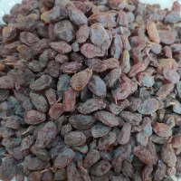 کشمش باغات بوانات|خوردنی و آشامیدنی|شیراز, شهرک مدرس|دیوار