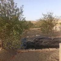 زمین باغی|فروش زمین و ملک کلنگی|مشهد, امام رضا (ع)|دیوار