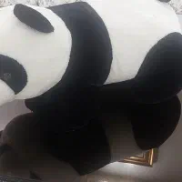 خرس پاندا نو