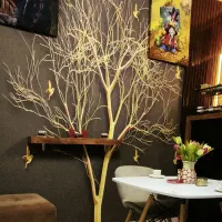 نیروی باریستا ( خانوم )