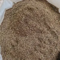 زیره کوهی اعلا