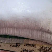 آرد گندم