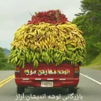 ثبت سفارش موز