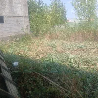 زمین متراز ۱۳۴ متر مربع مسکونی|فروش زمین و ملک کلنگی|رشت, خرسندی|دیوار
