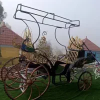 کالسکه اسب|اسب و تجهیزات اسبسواری|کازرون, |دیوار