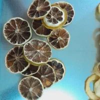 میوه خشک‌کن|سایر لوازم برقی|خوی, |دیوار