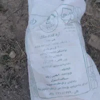 گونی