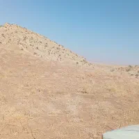 یک عدد زمین کشاورزی  در ابدالان میرکی در میوانه