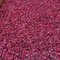 زرشک اعلا و درجه یک