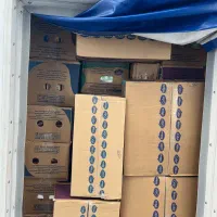 کارگر ساده جهت پخش بستنی محله ساسانی و محمدشهر