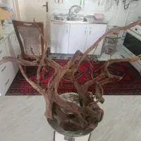 چوب ابنوس فایتر کت پوزه معاوضه با شیشه یا ماهی