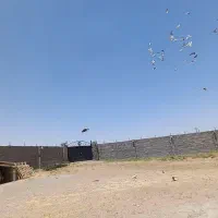 اجاره ۱۰۰۰ متر  چهار  دیواری