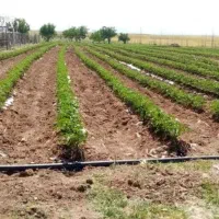 مجموعه مناسب سرمایه گذاری|فروش دفتر صنعتی، کشاورزی، تجاری|قیدار, |دیوار