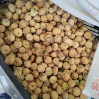 انجیر تازه امسال|عمده‌فروشی|شیراز, احمدی جنوبی|دیوار