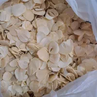 موسیر خشک صدفی خوش عطر