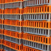 سبد مرغ|ظروف نگهدارنده، پلاستیکی، یک‌بارمصرف|شاهرود, |دیوار