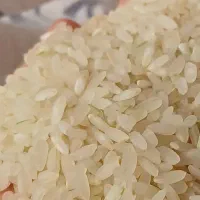 برنج کامفیروز ی درجه یک .