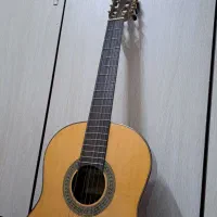 گیتار کار کرده