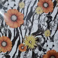 گم شدن مدارک به اسم امید رسته خاک