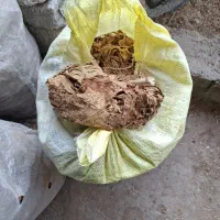 برگ زرد|خوردنی و آشامیدنی|خورموج, |دیوار