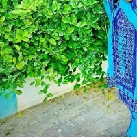 بدلیجات آبله صورت چی خوب