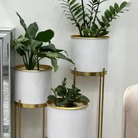 گلدان و گل طبیعی