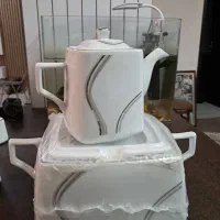 ظروف چینی