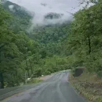 اجاره مرغداری پنجاه هزاری اتومات یک ملیاردو پانصد