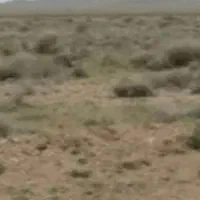 ۶هکتارزمین بااب