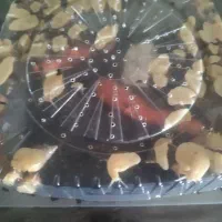 حلزون پرورشی آفریقایی آچاتینا جهت زیبایی پوست|خزنده|اهواز, کوروش|دیوار