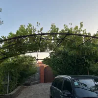 ۶۰هزارکارکارمندیmvmx33 sمدل۹۸ تحویل۱۴۰۰