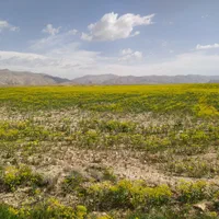 دیمیزار دوهکتاری در محدوده شهر فیروزکوه|فروش زمین و ملک کلنگی|فیروزکوه, |دیوار