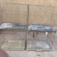 پرنده. قفس معمولی و جوجه پران|لوازم جانبی حیوانات|رفسنجان, |دیوار