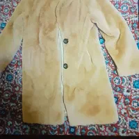 پالتو زنانه|لباس|قم, زنبیل آباد|دیوار