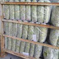 باقالی سبز منجمد