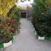 زمین-باغی