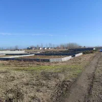 فروش قطعه 185 متری اقسا*طی با سیماک معتبر و utm|فروش زمین و ملک کلنگی|لاهیجان, قیام|دیوار