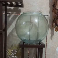 اکواریوم یا تراریوم