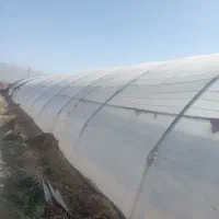 دوعددسازه گلخانه 450متری لوله گرم درحد نو 17کمان