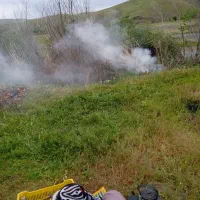 فروش زمین آبی کشاورزی