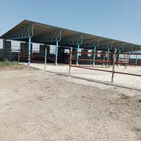دو هکتار زمین کشاورزی با دامداری صنعتی|فروش دفتر صنعتی، کشاورزی، تجاری|نگین شهر, |دیوار
