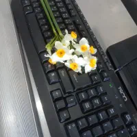 اجاره مغازه