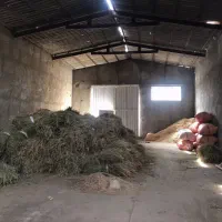 معاوضه  گاوداری با ملک در مرکز یا بالای تهران|فروش دفتر صنعتی، کشاورزی، تجاری|سراب, |دیوار