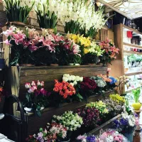 استخدام یک گل آرا و تزیین کار گلفروشی در تنکابن