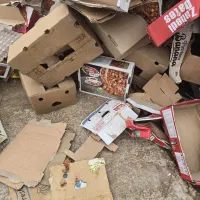 کارتن با بالاترین قیمت