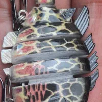 وسایل کوه و کمپینگ وتفریح و مسافرت|کوهنوردی و کمپینگ|اسفراین, |دیوار