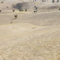 زمین کشاورزی|فروش دفتر صنعتی، کشاورزی، تجاری|خشت, |دیوار