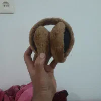 گوشگیر