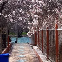 اجاره ویلا با امکانات لب آب