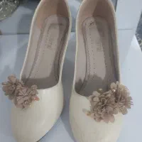 کفش مجلسی